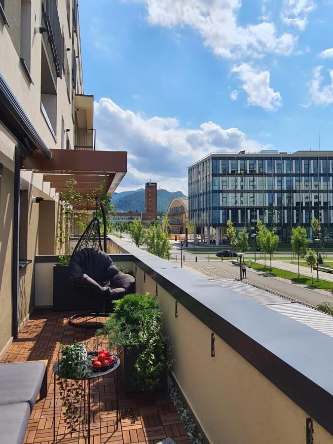 Tonic Studio Coresi Braşov Buitenkant foto